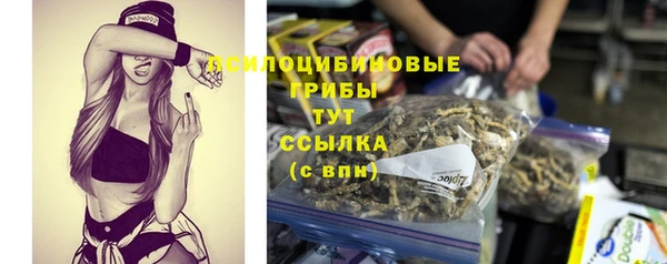 синтетический гашиш Бородино