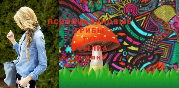 прущий лед Бронницы