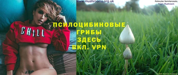 синтетический гашиш Бородино